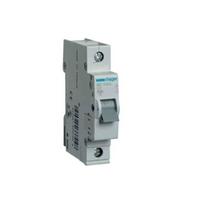 Automatinis jungiklis Hager C4A MC104 1P
