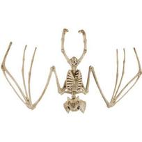 Šikšnosparnio skeletas, 30 cm