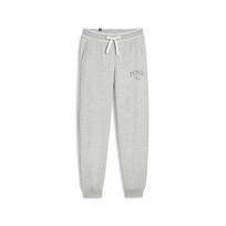Kelnės moterims Puma 677901044099686717131, pilkos