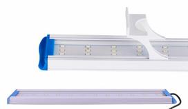 Akvariumo apšvietimas