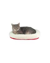 Guolis augintiniui Trixie Cuddly Bed, 47 x 38 cm, balta/raudona