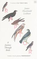 Raptor: A Journey Through Birds