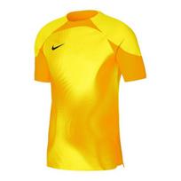 Sportiniai marškinėliai vyrams Nike Dri FIT ADV Gardien 4 M DH7760 719, geltoni
