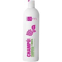 Šampūnas su avietėmis ir mėtomis Tahe Urban Blumin, 1000 ml