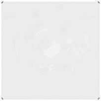 Skaidrus brezentas su ąselėmis 2x2 m pvc