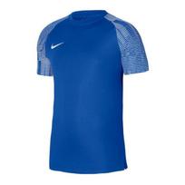 Marškinėliai vyrams Nike Dri-Fit Academy SS M DH8031-463, mėlyni