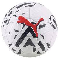 Futbolo kamuolys Puma Orbita 2 TB FIFA Pro, 5 dydis