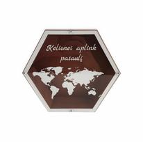 3D Taupyklė Kelionei aplink pasaulį
