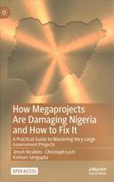 How Megaprojects Are Damaging Nigeria and How to Fix It: A Practical Guide to Mastering Very Large Government Projects 1st ed. 2022