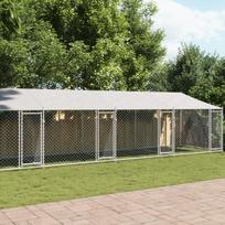 vidaXL Narvas šunims su stogu ir durimis, pilkas, 10x2x2m, plienas