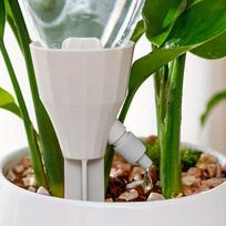 Automatinis augalų laistytuvas su reguliuojamu srautu