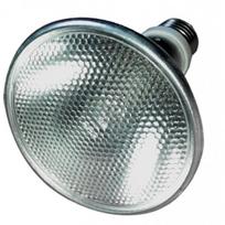Lempa Repti-Zoo SuperSun UVB 70W, metalo halogenas, ropliams