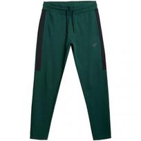 Sportinės kelnės vyrams 4F M H4L21 SPMD013 40S, žalios, L