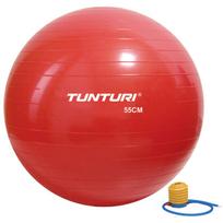 Gimnastikos kamuolys su pompa Tunturi Gymball 55 cm, raudonas