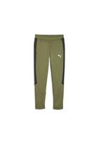 Kelnės vyrams Puma Evostripe 678997 33, žalios, XL