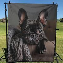 Prancūzų buldogų megztas pledas, 150*200cm