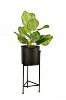 Gėlių stovas su vazonu Gramix 48 cm