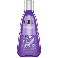 Šampūnas riebiems plaukams Guhl Silberglanz & Care Shampoo, 250 ml