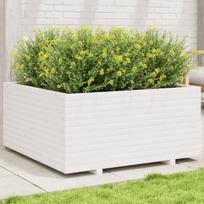 vidaXL Sodo lovelis, 100x100x49,5cm, pušies medienos masyvas