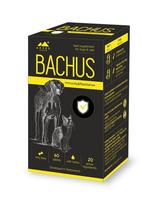 Pašaro papildas Bachus Immunity&Resistance, 60 tabl.