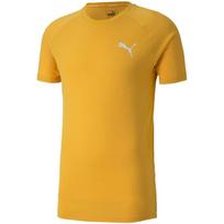 Vyriški marškinėliai Puma Evostripe Lite Tee 581534 25, geltoni, S