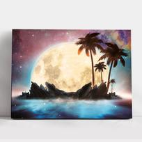 Tapyba pagal skaicius TM Varvikas Magical moon ME1148e 30x40 cm
