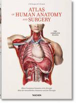 Bourgery. Atlas of Human Anatomy and Surgery XL