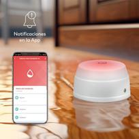 Išmanus Wifi vandens detektorius su app pranešimais