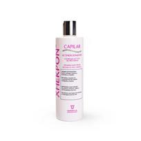 Kondicionierius ir atkuriamasis kremas plaukams Xhekpon Hair Repair Cream, 250 ml