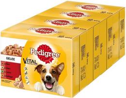 Pedigree Adult suaugusiems šunims su ėriena, paukštiena ir jautiena, 48x100 g