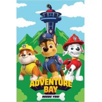 Vaikiška fliso antklodė Disney Paw Patrol, 100x150 cm