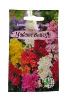 Žioveinis Madame Butterfly Agrimatco