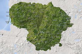 Lietuvos konturinis žemėlapis su miestų pavadinimais, smeigtukai dovanų! DB009 70x50 Cm.