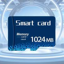 Atminties kortelė Micro SD atminties kortelė, 256MB