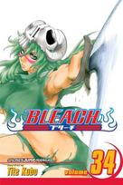 Bleach, Vol. 34: King of the Kill 11th, Vol. 34