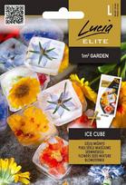 Gėlių Mišinys Lucia Elite Ledo kubelis