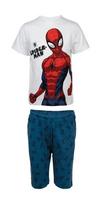 Pižama berniukams Spiderman, įvairių spalvų