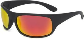 Akiniai nuo saulės Label L1582P Polarized