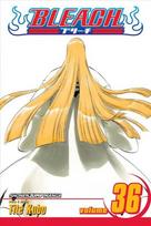 Bleach, Vol. 36: Turn Back the Pendulum, 36