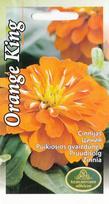 Puikiosios Gvaizdūnės Orange King