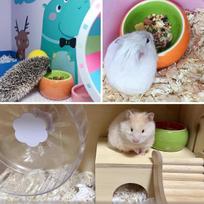 Keraminiai Hamsterio Dubenėliai 2 vnt. Gyvūnėliams