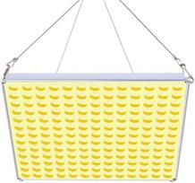 Roleadro LED R-75 augalų lempa