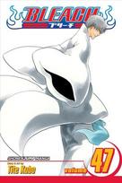 Bleach: end of the chrysalis age
