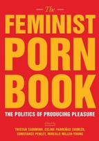 Feminist Porn Book: The Politics of Producing Pleasure