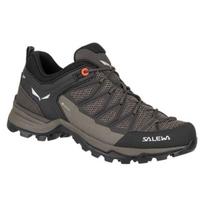 Žygio batai moterims Salewa Mtn Trainer Lite GTX