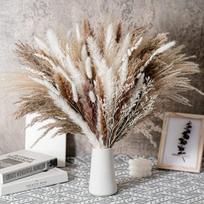 Dirbtinės gėlės, Pampas Grass Small Reed Rabbit Tail 80-2 derinys