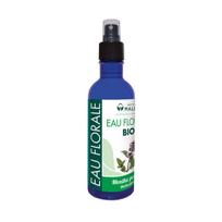 Pipirmėčių hidrolatas (Mentha Piperita), ekologiškas, 200 ml