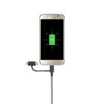 Native Union Universalus Belt Cable (USB-A - USB-C, Micro USB, Lightning) 2 m, zebrinis