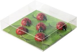 Trendform® Gyvūnėlių Stiliaus Magnetukai Biurui - Boružėlės (1 rinkinys iš 6)