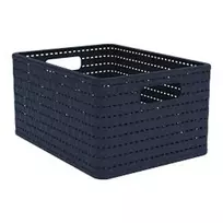 Daiktadėžė mėlyna ROTHO COUNTRY 18 l